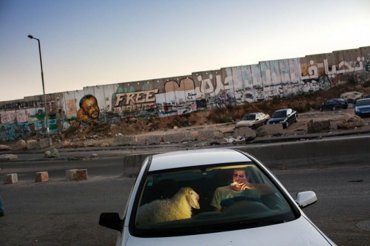 Ramallah, West Bank A man bringing home a sheep for the Eid feast smokes a cigarette, as traffic finally clears at the Kalandia checkpoint.   More than four million people live in Gaza, the West Bank, and East Jerusalem, often in overcrowded or deprived conditions. People’s movements are circumscribed and the threat of violence never quite goes away. Yet although the challenges of conflict and occupation overhang everyday life, people are not solely focused on the difficulties of survival. Photographer: Tanya Habjouqa