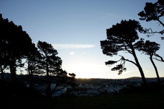 Wellington from the former quarry site at the top of Ellice Street, Mount Victoria.