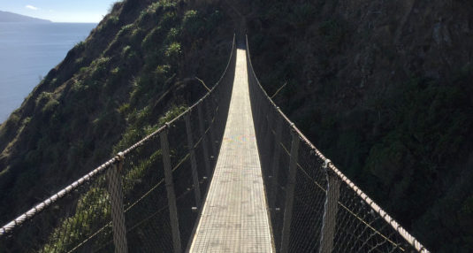 Swingbridge over a chasm along the Paekakariki Escarpment track.