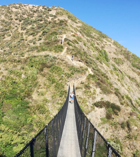 Swingbridge and walkers along the Paekakariki Escarpment track.