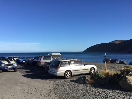 Freedom camping area at the entrance to Te Kopahau Reserve.