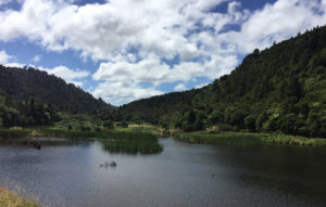 Wainuiomata Water Collection Area