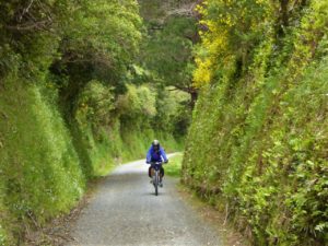 rimutaka-incline-david-heap