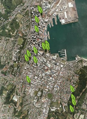 Project Noah - spottings in Wellington