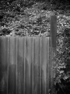 Frontier fence