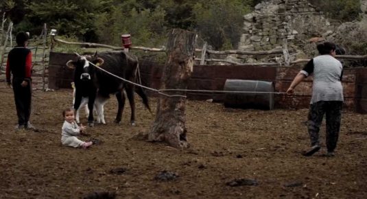 A baby, sitting next to a cowpat, being eyed up by a cow