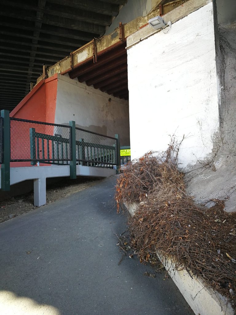 A Definitive Ranking of Some of Wellington’s Most Cursed Locations