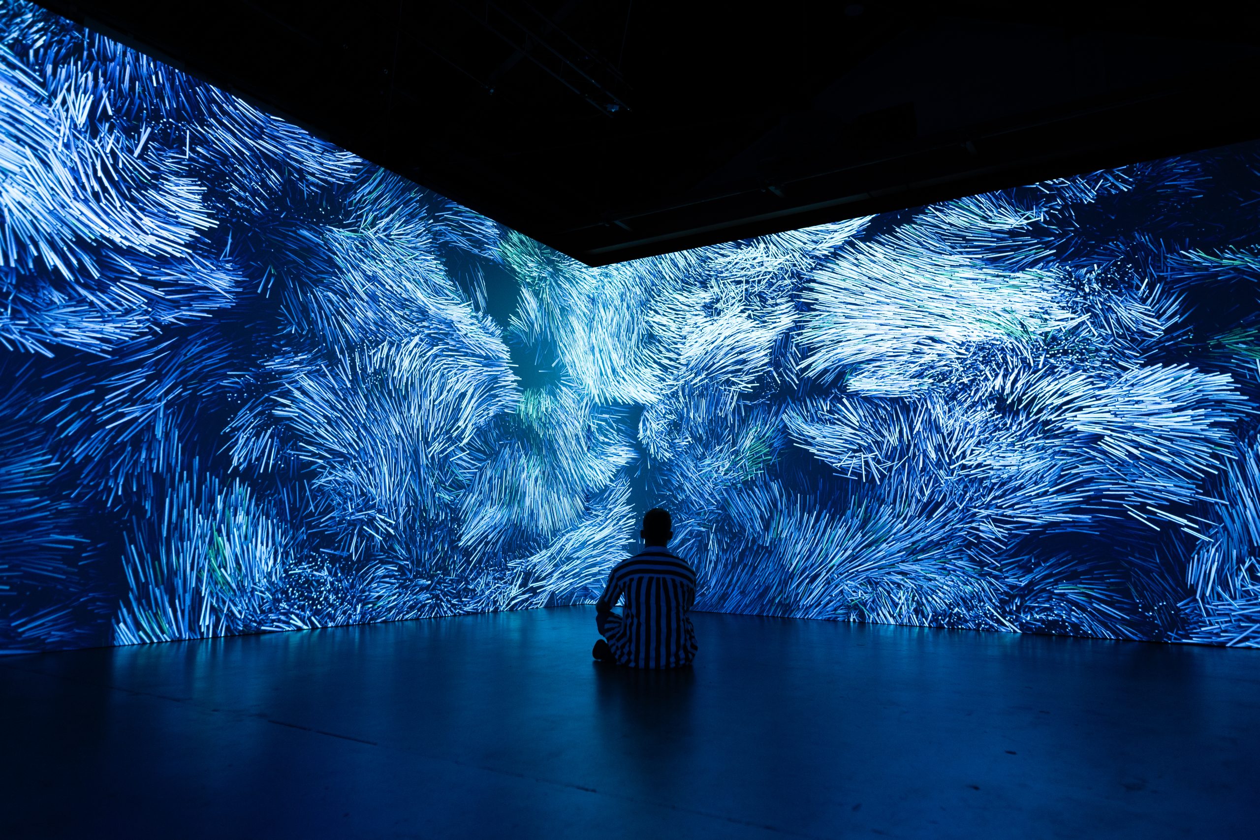 Shadow of figure sitting down in front of two wall size projected images of an abstract image of thousands of blue coloured lines